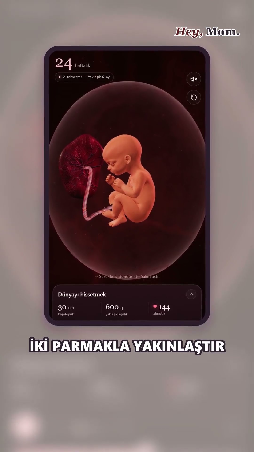 Bebeğini 3D nasıl görürsün?