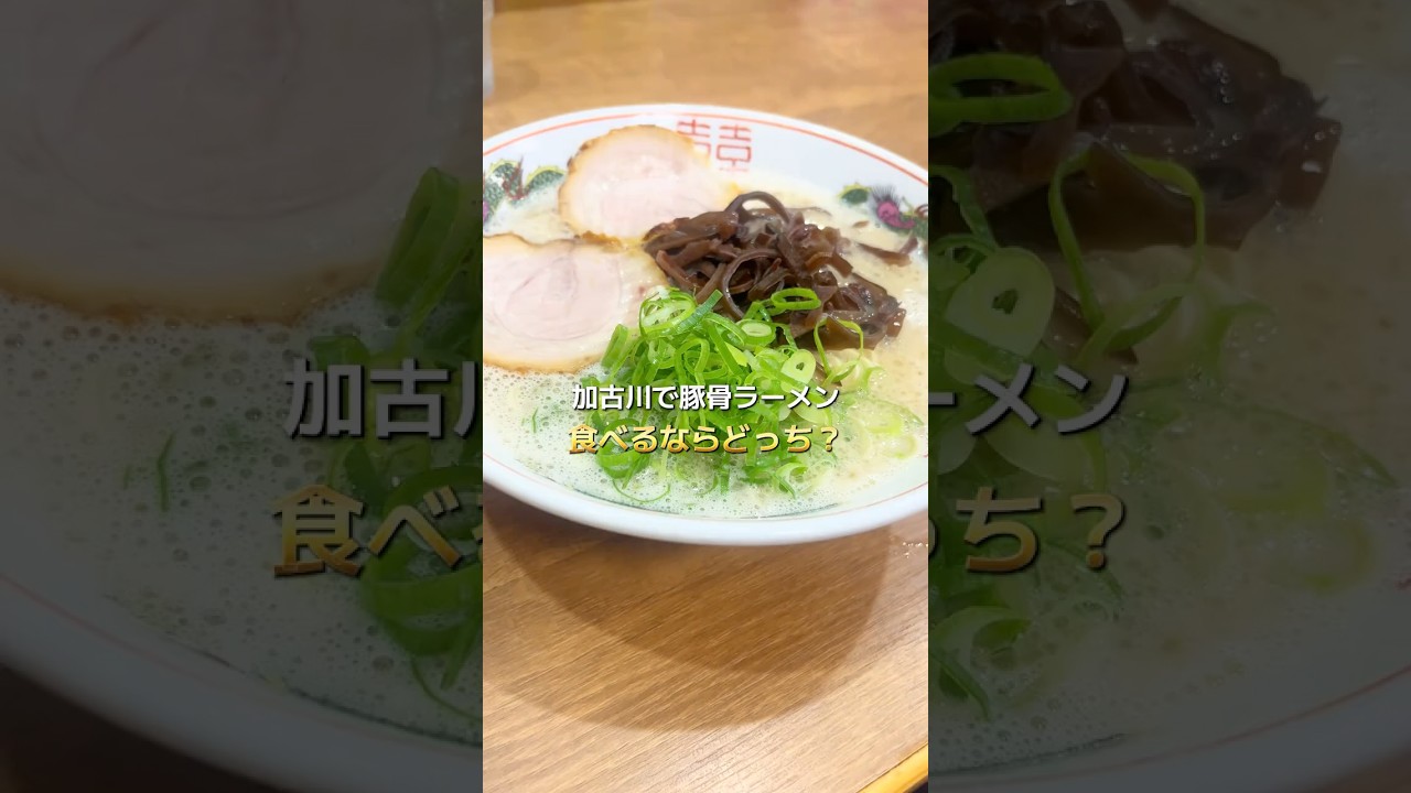 Which one would you choose for tonkotsu ramen in Kakogawa