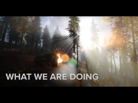 What are WE doing to the Forests? Project One Voice