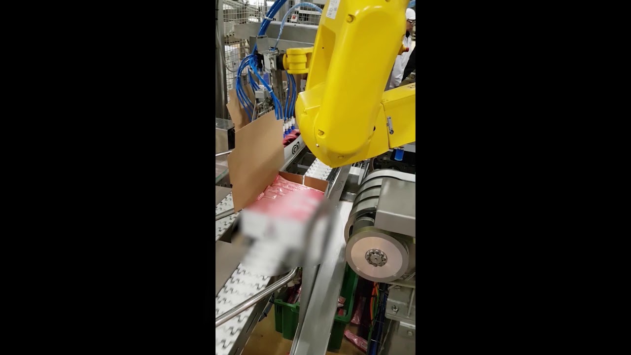 RobenteX Case Packaging for Finland | Robotik Kutu Dolum Uygulaması Finlandiya