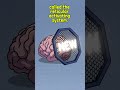 11:11 is not magic #psychology  brainfacts #1111 #shorts #didyouknow #brainbites