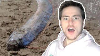 Fish Biologist Reacts To Tsunami Sea Creatures