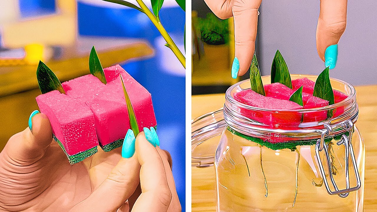 🌱 Try These Genius Plant Growing Hacks to Create Your Perfect Garden ...