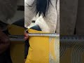 F70 tape measure