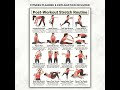 Don't Skip These! Post-Workout Stretches for Every Muscle Group #yoga #fitness #healthtips
