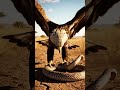 Engle catching snake AI #viral #wildlife #trending