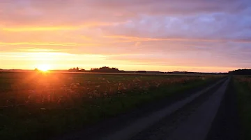 Samen midzomer vieren op je troostplek