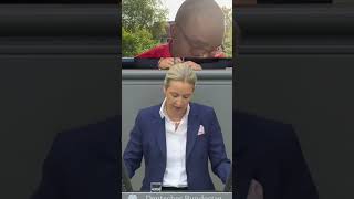Alice Weidel über Missbrauch, Nürnberg & Migration: Heftige Bundestagsrede! #everyone