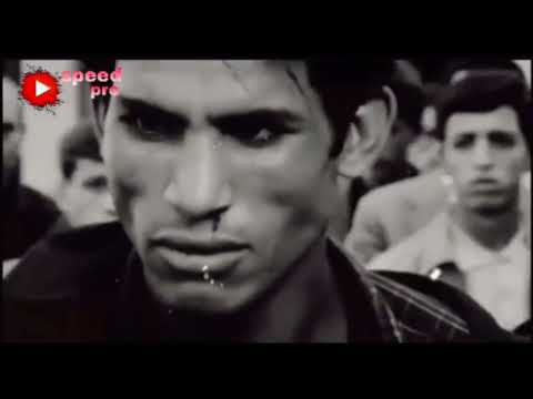 1 نوفمبر 1954 فيديو قصير عن الثورة الجزائرية 