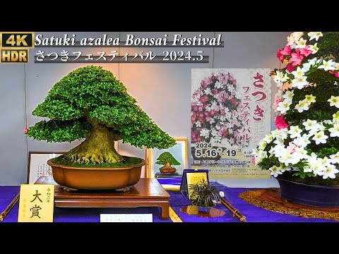 さつき 盆栽Japanese Azalea 図鑑　他合計10冊セット　超お買い得 さつき 盆栽Japanese Azalea 図鑑 他合計10冊セット 超お買い得