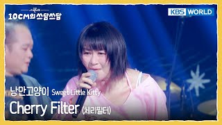 Cherry Filter 체리필터 - 낭만고양이 Sweet Little Kitty (The Seasons) | KBS WORLD TV 260130