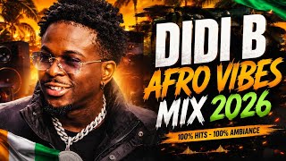 Didi B Afro Vibes Mix 2026