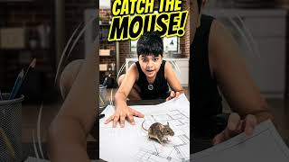 Catch the mouse challenge starts NOW!