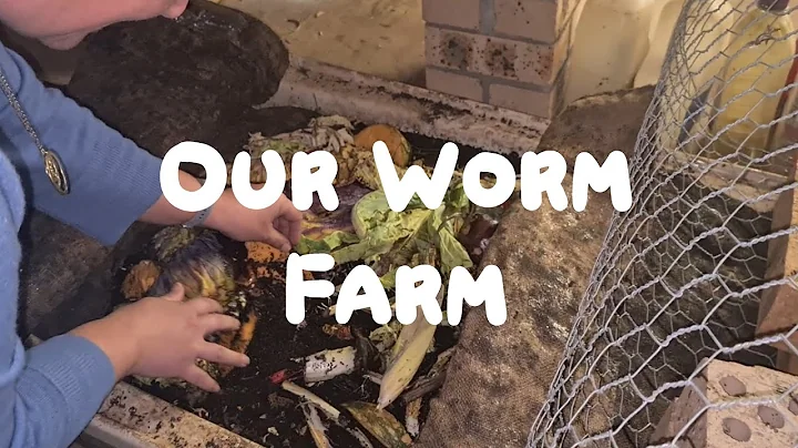 Worm Farm Tour | The Permaculture Pantry