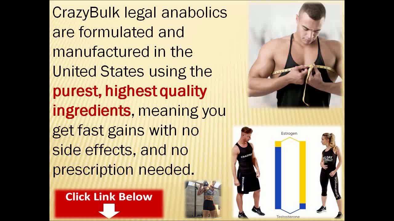 bodybuilding meal plan