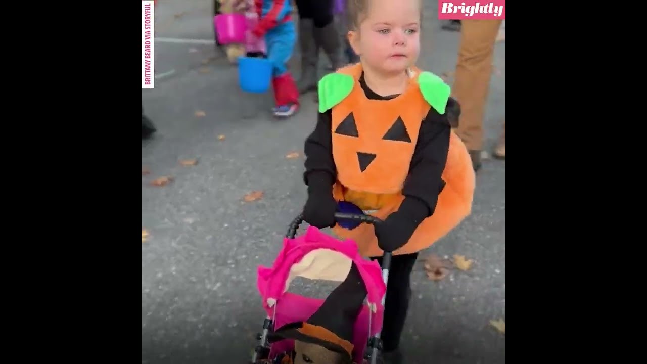 Little Girl Finds Unique And Creepy Playmate L GMA