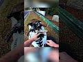 Speeding Biker Gets Caught By Police 😳