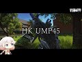 HK UMP45 スモークグレネードだ!!【ONE実況】【タルコフ】【EFT】