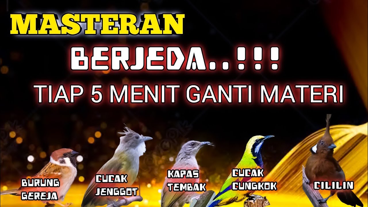 2 jam masteran tuntas berjeda tiap 5 menit ganti materi terbukti ampuh mudah masuk