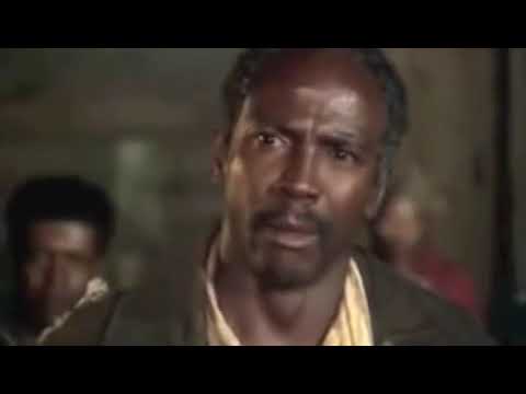 Whats your Name "Kunta Kinte"  .....  Tobe ,   tobe, My nane is Tobe