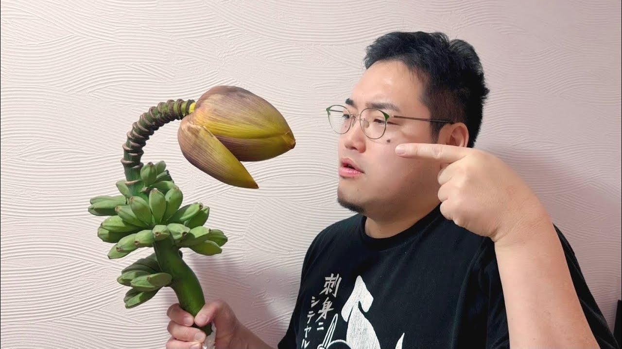 ジャパニーズバナナこと「バショウ（芭蕉）」の実を食べてみた