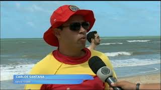 Autoridades De Pe Analisam Regras Para Impedir Ataques De Tubaro