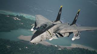 The Best Fighter Skin of All Time - F-14 TOMCAT JOLLY ROGER