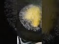 चटपटी कुरकुरे आलू के क्रिस्पी रोल #youtubeshorts #crispy potato roll#