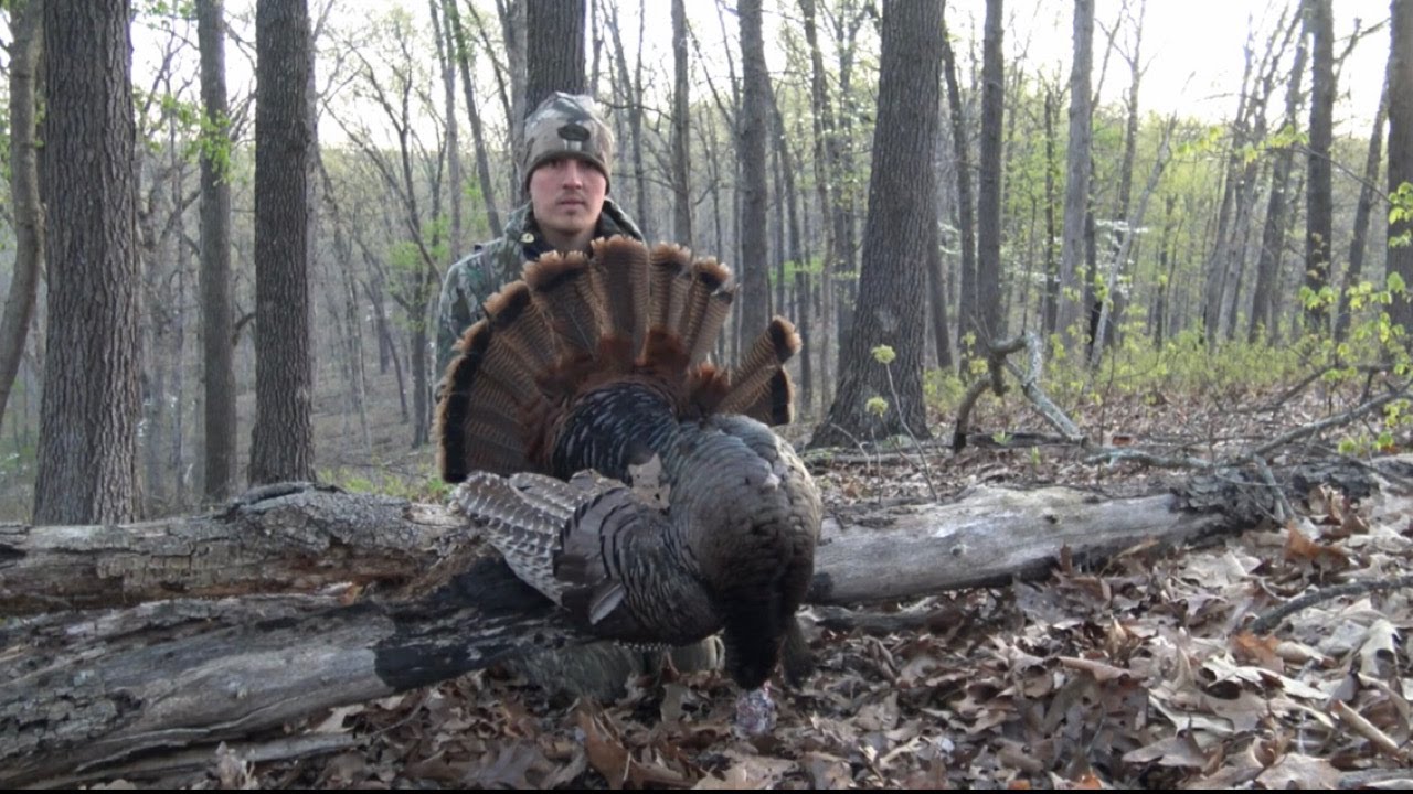 PUBLIC LAND MISSOURI GOBBLER! YouTube