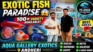 Aqua Gallery Exotics Mumbai | Andheri ka No.1 Exotic Fish Shop 😱 | 100+ Rare Fish Available | 