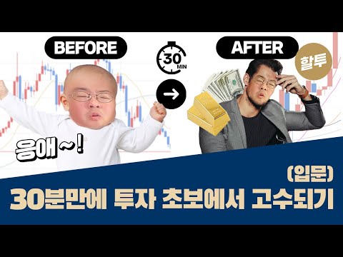 539. (입문) 30분만에 투자 초보에서 고수 되기!