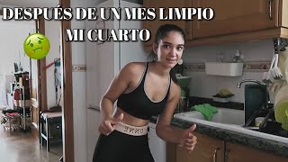 Limpiando Mi Cuarto Mini Haul By Hermoss