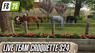 Live 24 avec les croquettes
