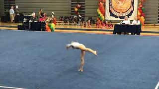 Harvest 2018 Level 2 floor routine