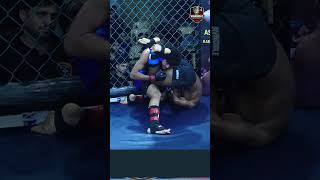 Double-Leg to Elbow Stoppage — Blue Corner Dominates | WDS MMA