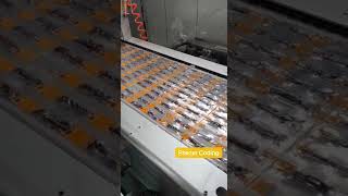 Laser marking machine datecoding on food package