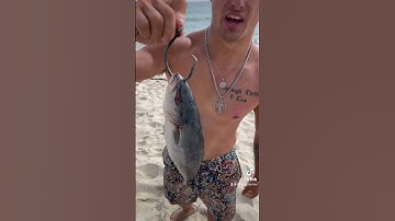 Thumbnail of How To Hook A Fin Fish For SHARKS