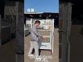 Maximize Warehouse Efficiency &amp; Reduce Storage Costs with Our Heavy-Duty Foldable Logistics Trolley