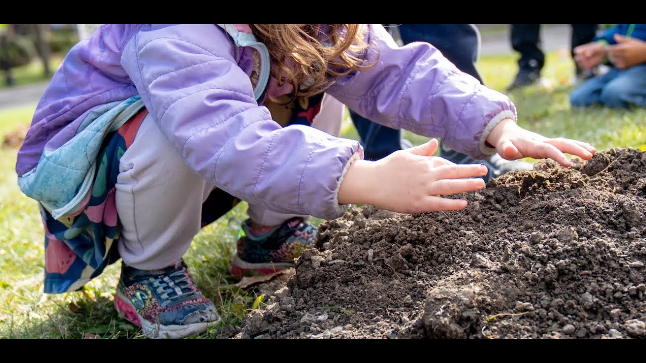 Tiny hands plant tiny trees @ Evanston Roundtable (Richard Cahan)