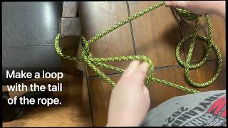 How to Tie a Dog Sled Snub Line with only a rope.