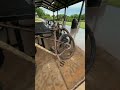 #mtbforlife