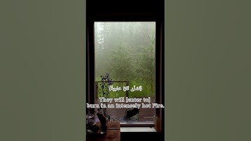 #محبي القرآن الكريم #اكتب شي تؤجر عليه 💬💙#ارح قلبك ❤️🫀 #سورة الغاشية #احمد_النفيس
