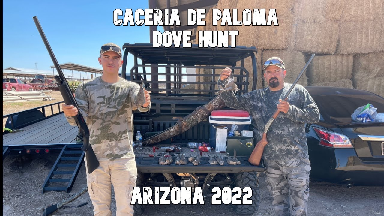 CacerÍa de Paloma (Guilota) Arizona / Arizona (Dove) Hunt 2022 YouTube