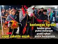 live‼️ bantengan 4groub lembu giras, baladewa putra mataram dll edisi napel sukolilo