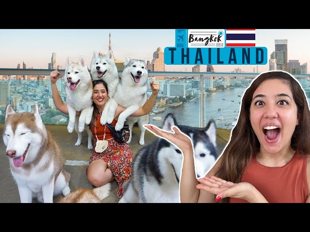 Visited the famous Husky Cafe in Bangkok | Solo Indian Girl in Thailand!
