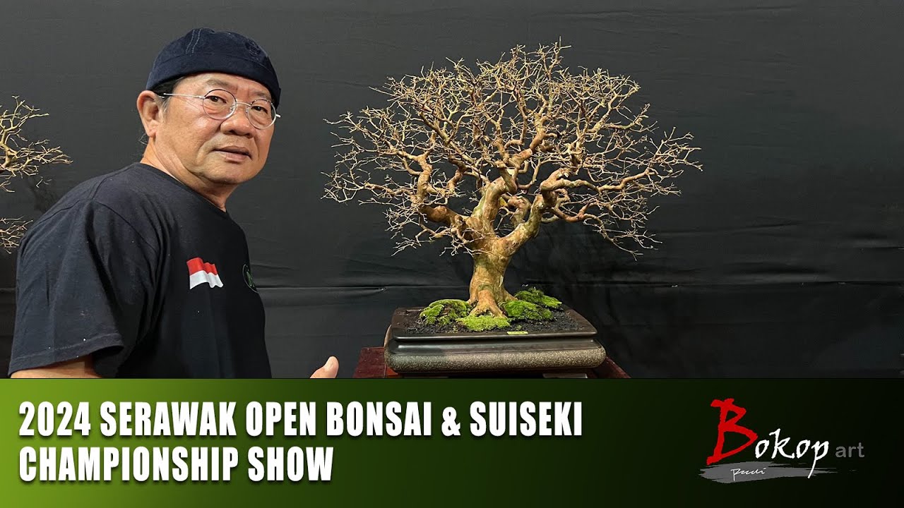 2024 Serawak Open Bonsai & Suiseki Championship Show