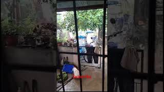 Today in Philippines ?? || fully rain ️