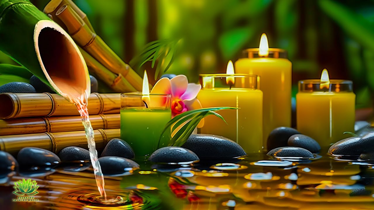 Music to Relax the Mind + Yoga, Sleep + Music for Meditation