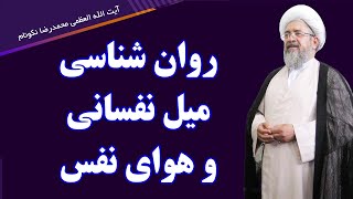 روان شناسی میل نفسانی و هوای نفس - آیت الله العظمی محمدرضا نکونام