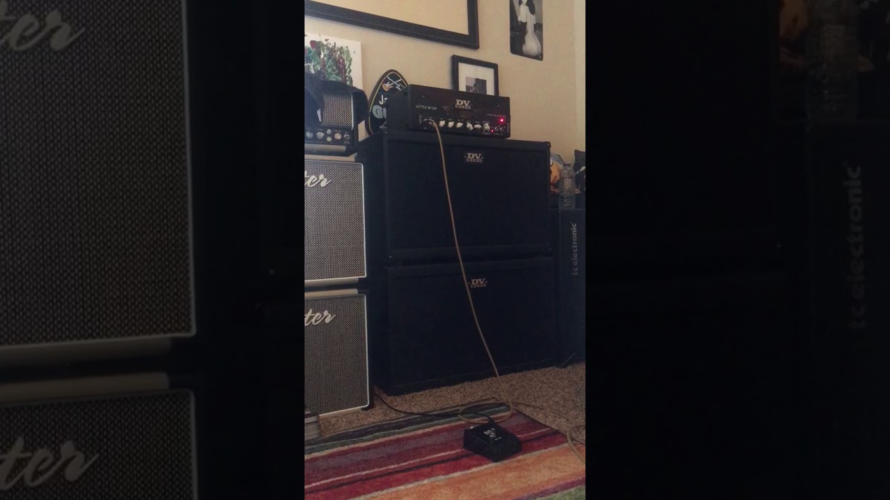 DV Mark Lil 40 EL34 and Neo212 cabs